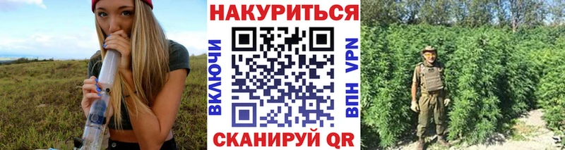 Конопля SATIVA & INDICA  Купить закладки  Николаевск-на-Амуре 
